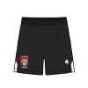 stour-aca-train-short